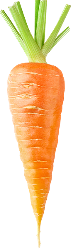 An image of a carrot