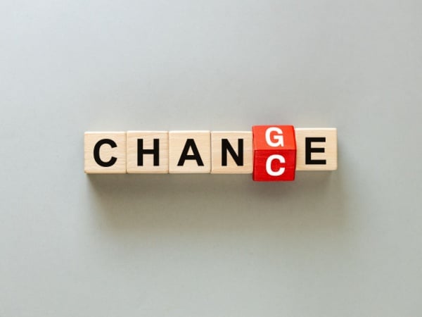 Building blocks spelling out change / chance